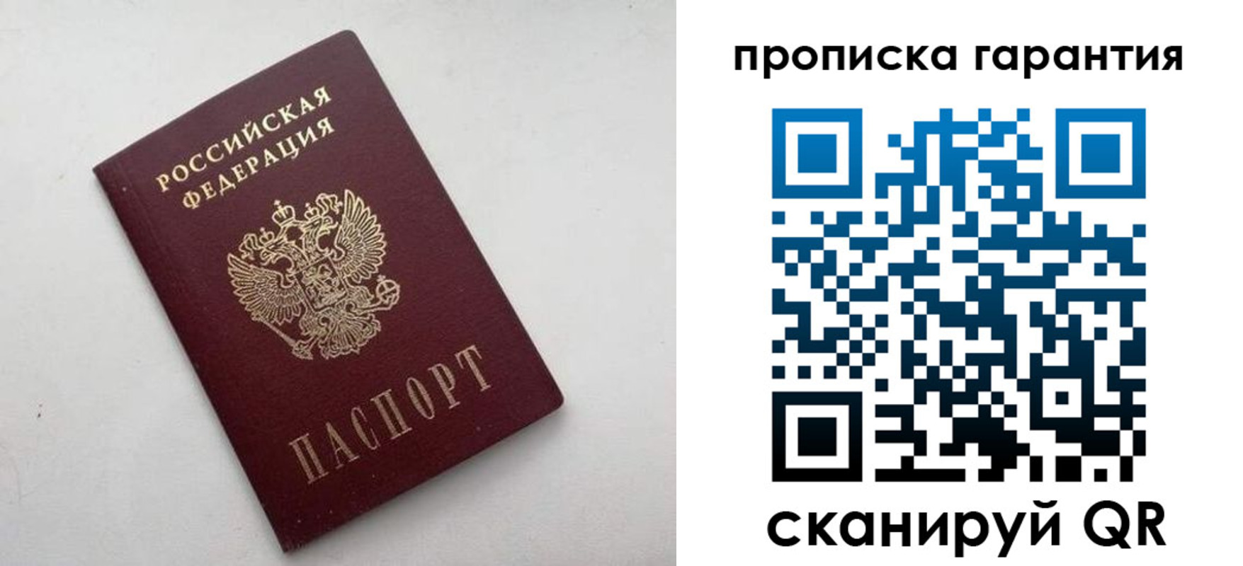 прописка поиск в Солнечногорске